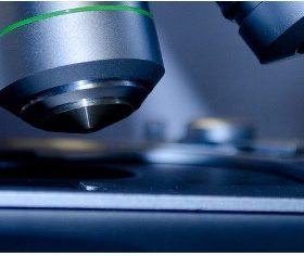 Les extraits fongiques peuvent compromettre la progression des métastases dans le cancer colorectal