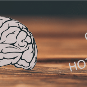 Le GABA : définition, effets et rôles pour notre santé ?