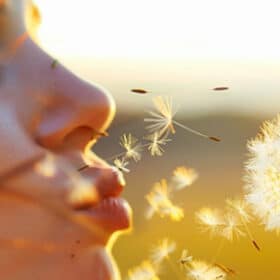 Comprendre et soulager naturellement une allergie au pollen ?