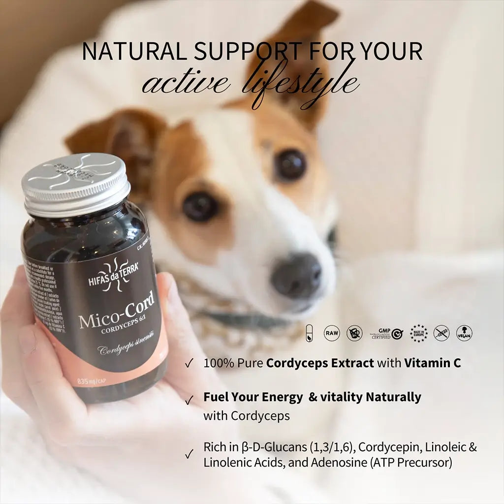 Mico Cord (Cordyceps Extract) Capsules