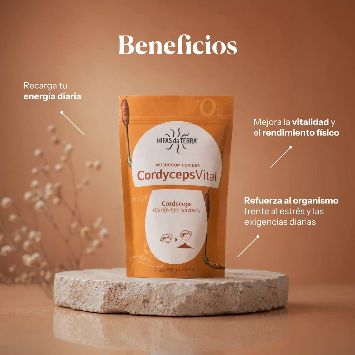 Benefits of Cordyceps Vital: 100% Cordyceps powder | Hifas da Terra