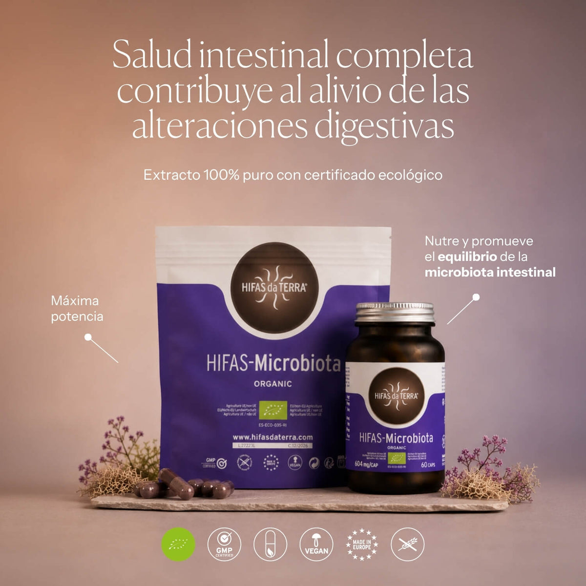 How to use Hifas-Microbiota | Hifas da Terra