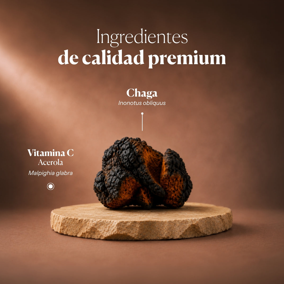 Composition and ingredients of Mico-Chaga | Hifas da Terra