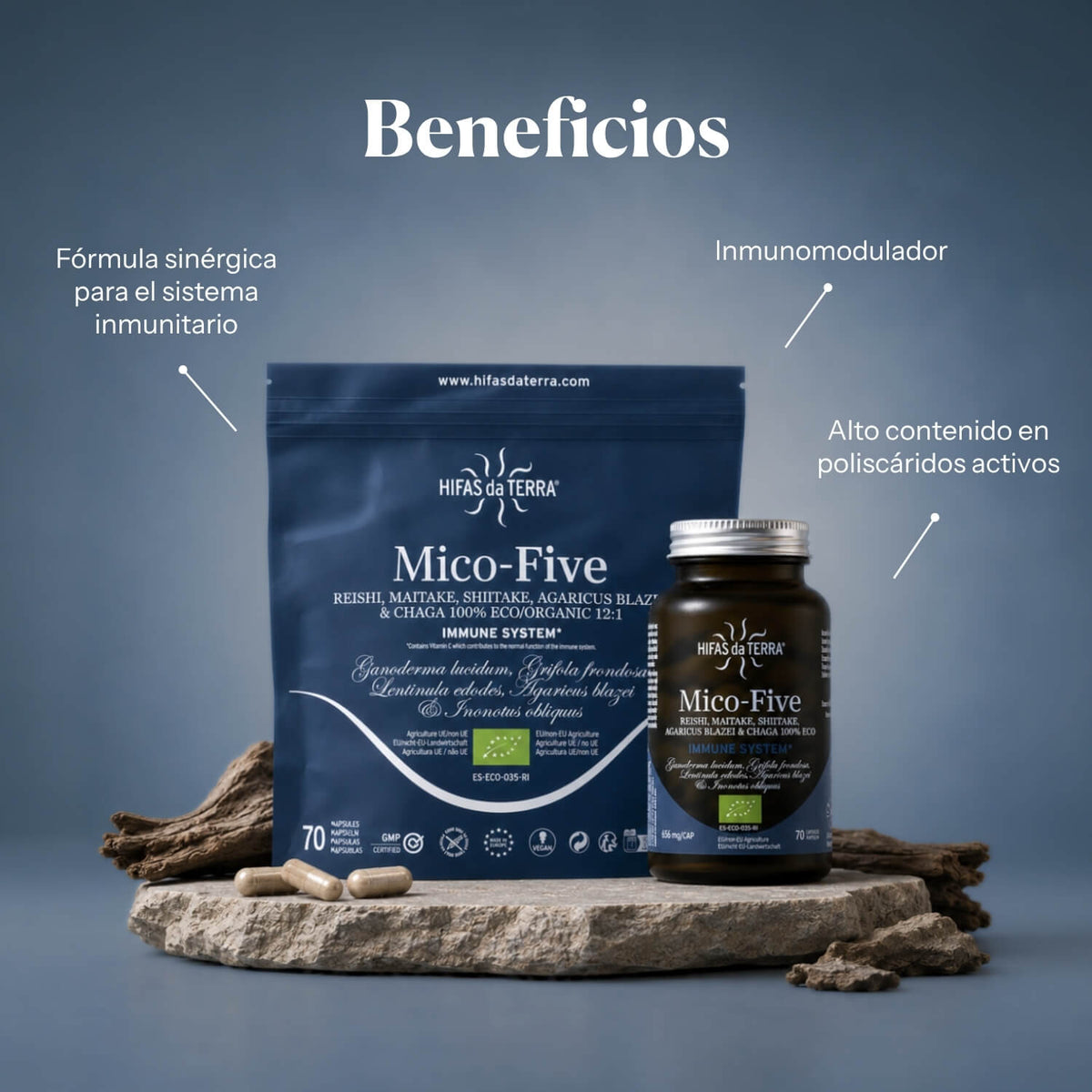 Benefits of Mico-Five: pure extracts of Reishi, Shiitake, Maitake, Sun Mushroom and Chaga | Hifas da Terra