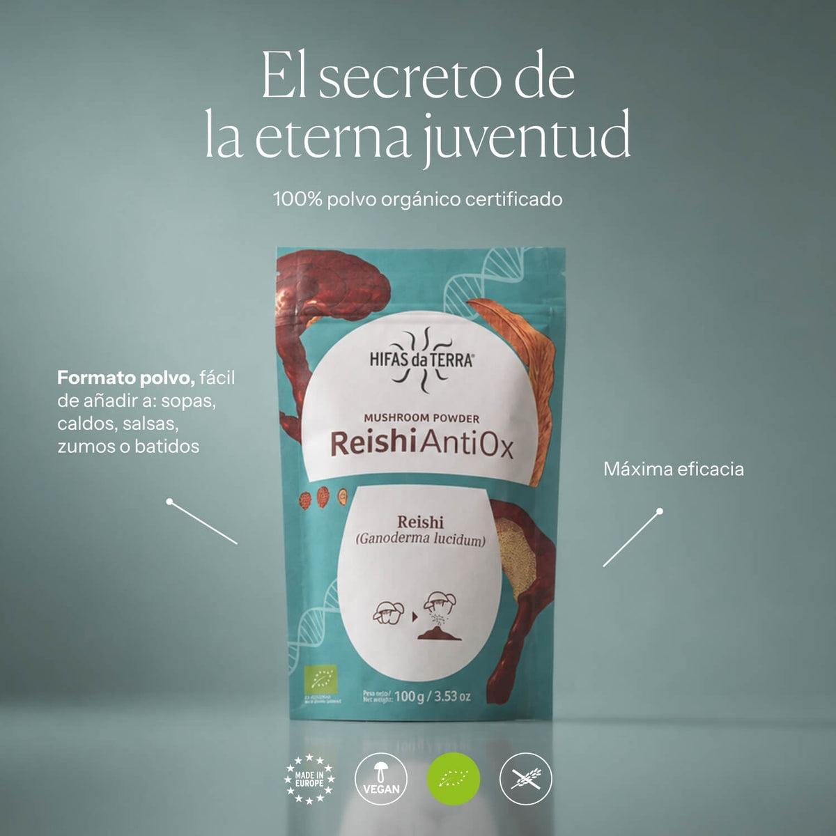 How to use Reishi Antiox | Hifas da Terra