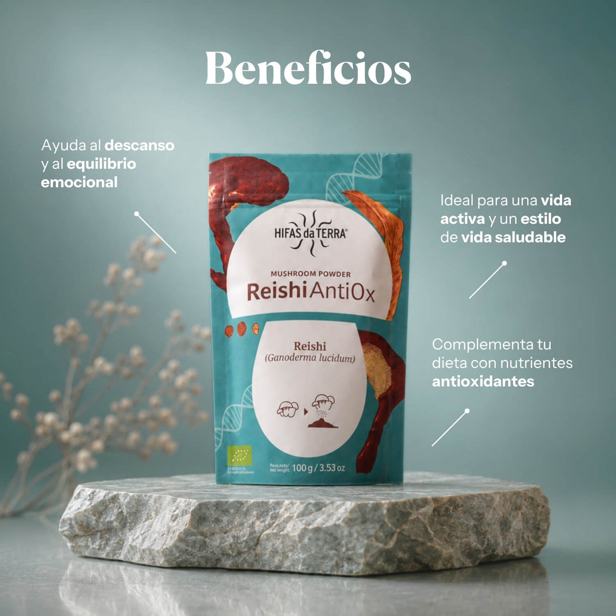 Benefits of Reishi Antiox: 100% organic Reishi powder | Hifas da Terra