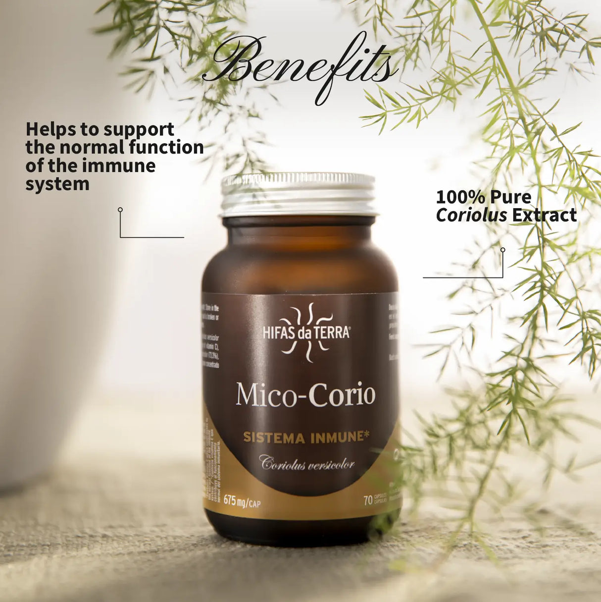 Mico-Corio (Coriolus extract) capsules