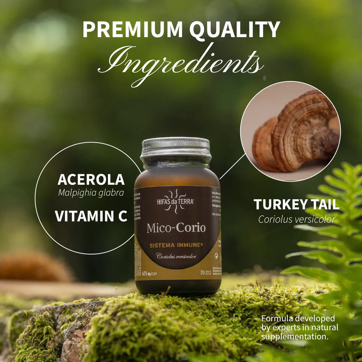 Mico-Corio (Coriolus extract) capsules