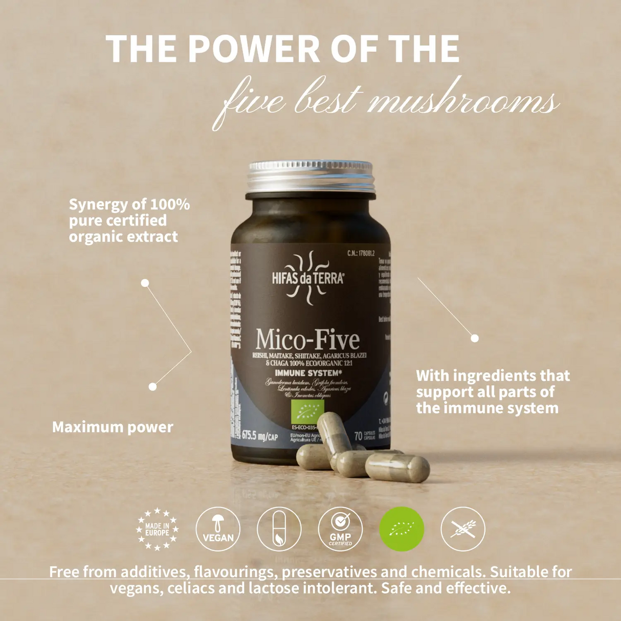 Mico Five (Chaga, Reishi, Maitake, Shiitake, Sun mushroom) Capsules