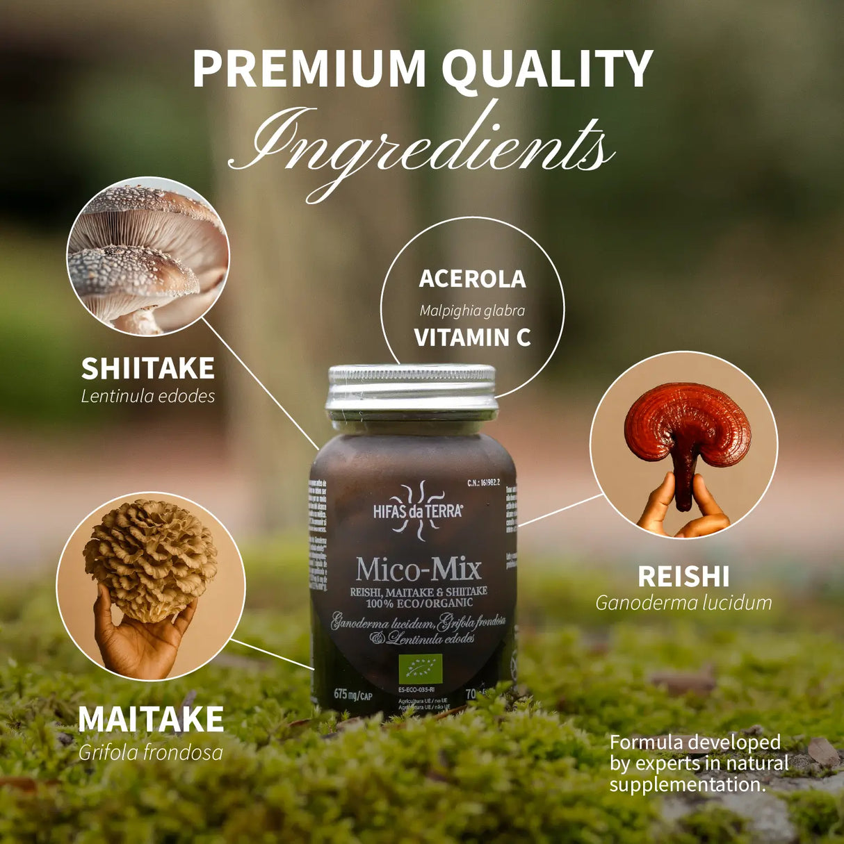 Mico Mix (Shiitake, Reishi, Maitake) Capsules