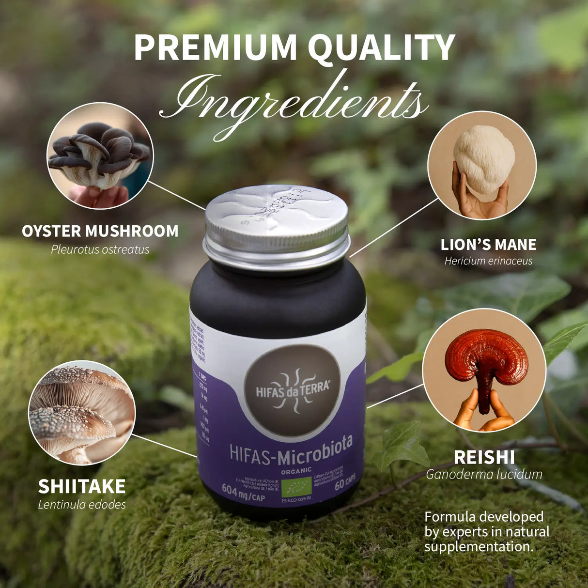 HIFAS-Microbiota (Lion’s Mane, Oyster, Reishi, Shiitake) capsules
