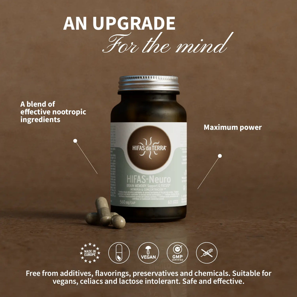 Hifas-Neuro (Lion's Mane and Chaga extract) capsules