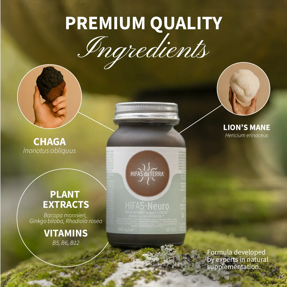 Hifas-Neuro (Lion's Mane and Chaga extract) capsules