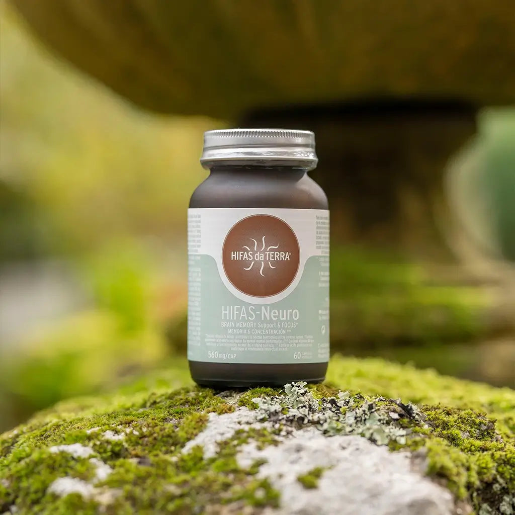 Hifas-Neuro (Lion's Mane and Chaga extract) capsules