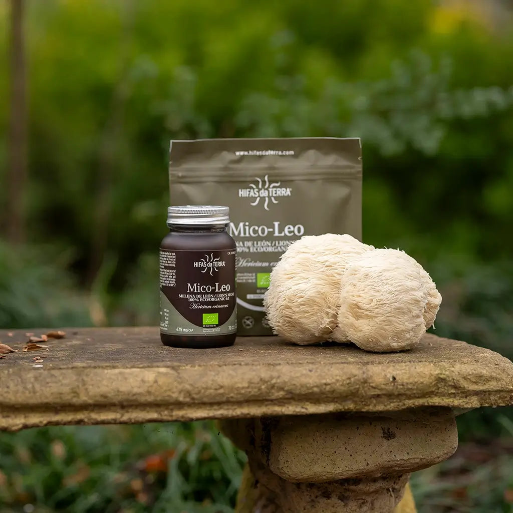 Mico Leo (Lion’s Mane Extract) Capsules