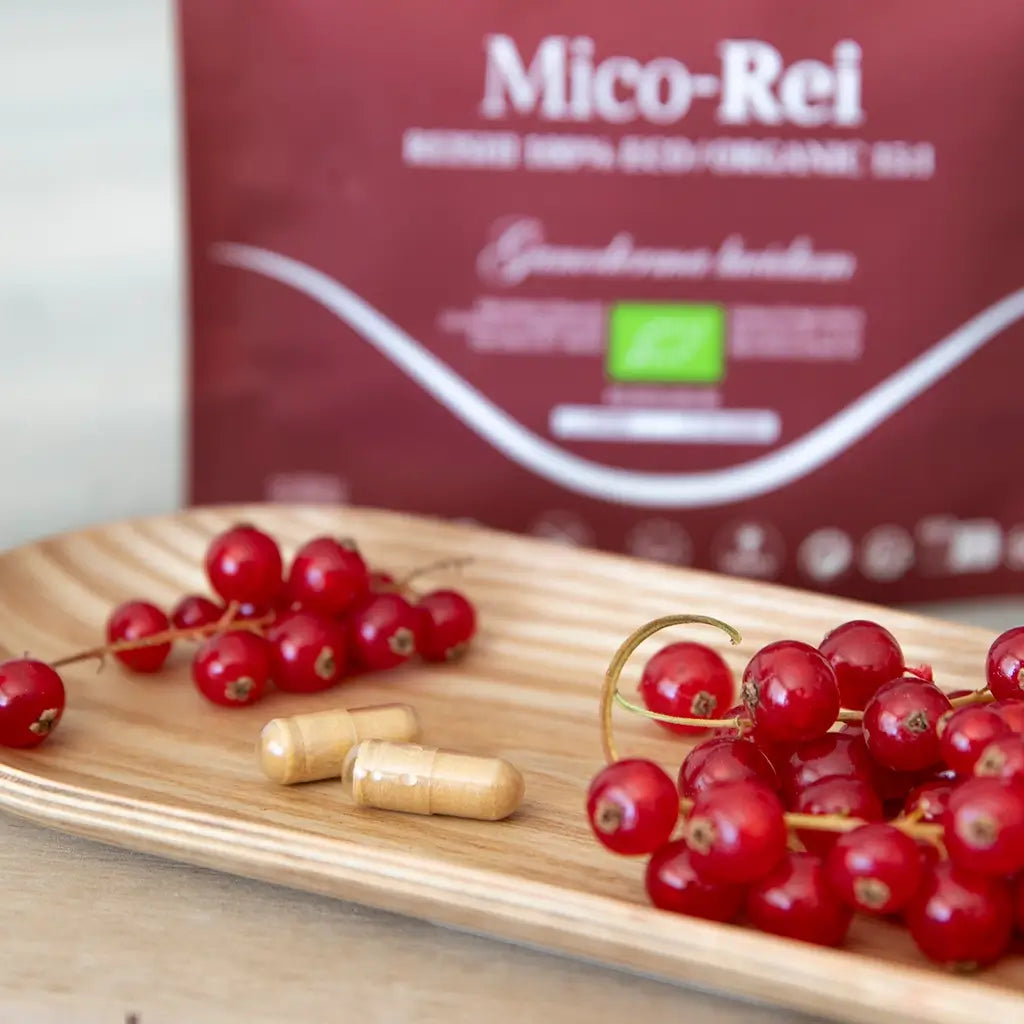 Mico Rei (Reishi extract) capsules