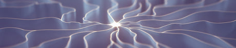 Erinacinas: ¿por qué son importantes en la neuroprotección?