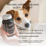 Mico-Cord Pure Cordyceps fungus extract in capsules
