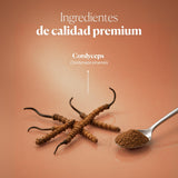 Composition and ingredients of Cordyceps Vital | Hifas da Terra