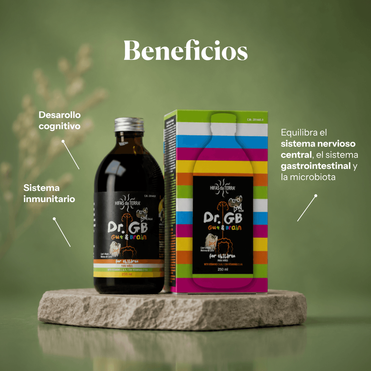 Benefits of Dr. GB (Gut & Brain): syrup with Reishi, Lion's Mane and prebiotics | Hifas da Terra