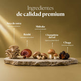 Composition and ingredients of Dr. Immune Five | Hifas da Terra