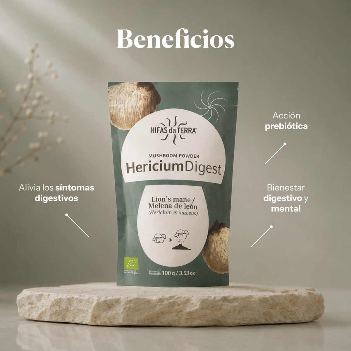 Benefits of Hericium Digest: 100% organic Lion's Mane powder | Hifas da Terra