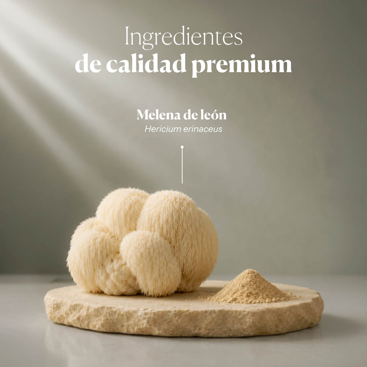 Composition and ingredients of Hericium Digest | Hifas da Terra