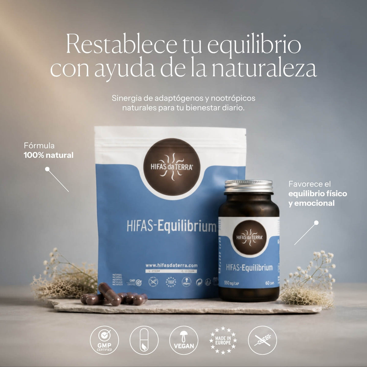 How to use Hifas-Equilibrium | Hifas da Terra