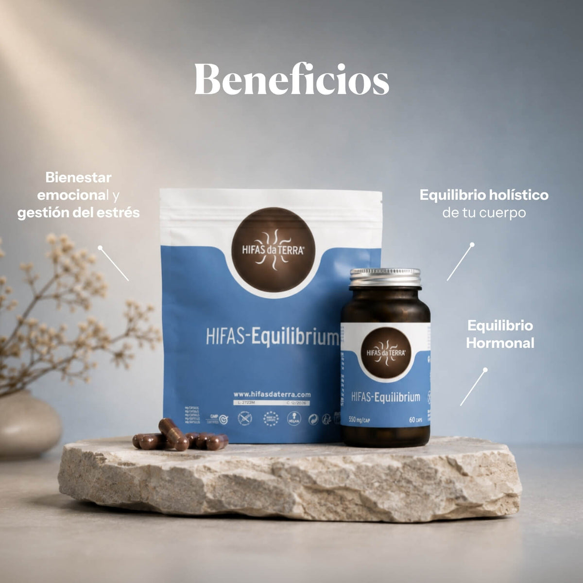 Benefits of Hifas-Equilibrium: pure extracts of Reishi, Lion's Mane and Cordyceps | Hifas da Terra