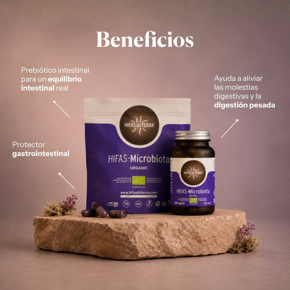 Benefits of Hifas-Microbiota: natural prebiotics for digestive wellbeing | Hifas da Terra
