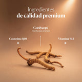 Composition and ingredients of Hifas-Vitality | Hifas da Terra