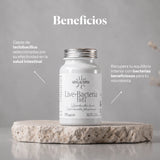 Benefits of Probióticos en cápsulas: Lactobacillus brevis and L. plantarum for gut flora | Hifas da Terra