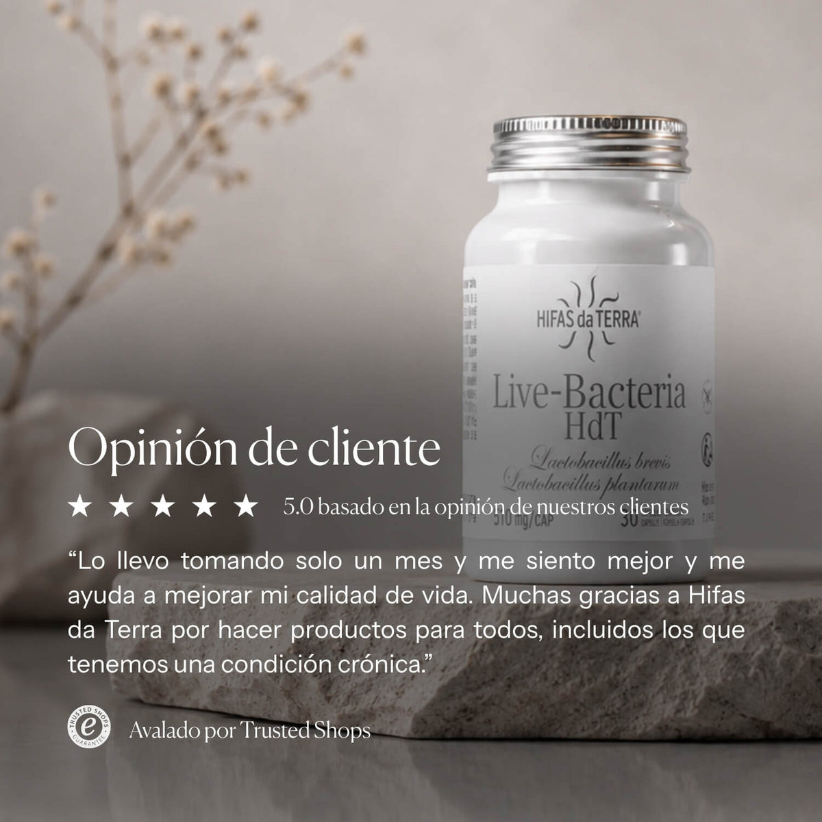 Nutritional information for Probióticos en cápsulas | Hifas da Terra