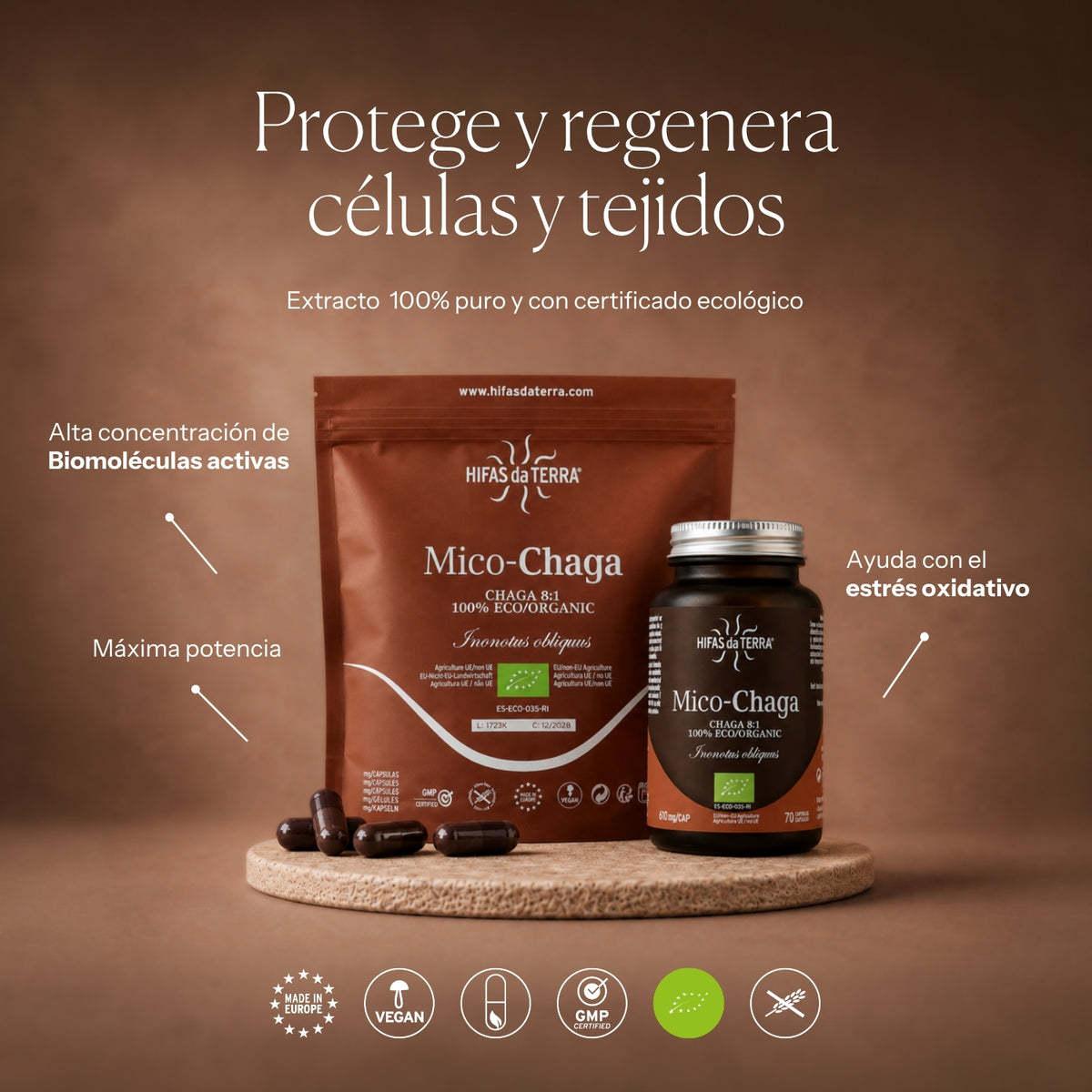 How to use Mico-Chaga | Hifas da Terra