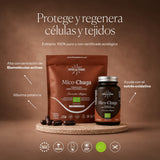 How to use Mico-Chaga | Hifas da Terra