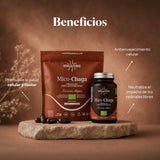 Benefits of Mico-Chaga: pure organic Chaga extract (Inonotus obliquus) | Hifas da Terra