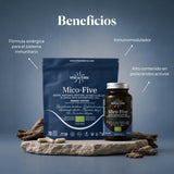 Benefits of Mico-Five: pure extracts of Reishi, Shiitake, Maitake, Sun Mushroom and Chaga | Hifas da Terra