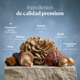 Composition and ingredients of Mico-Five | Hifas da Terra
