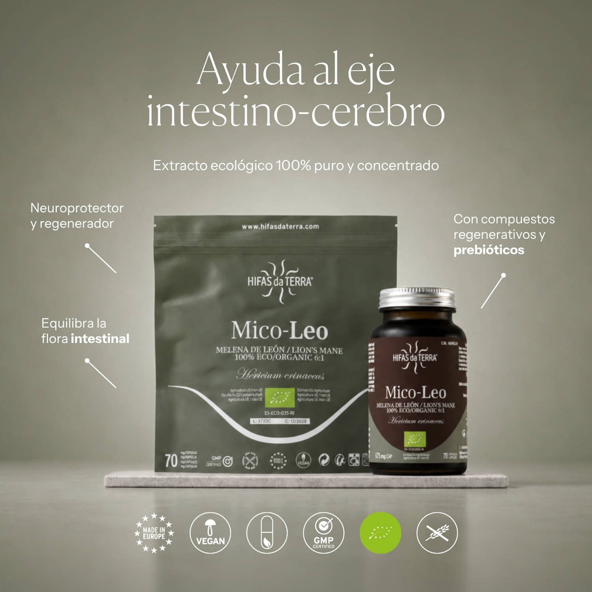How to use Mico-Leo | Hifas da Terra