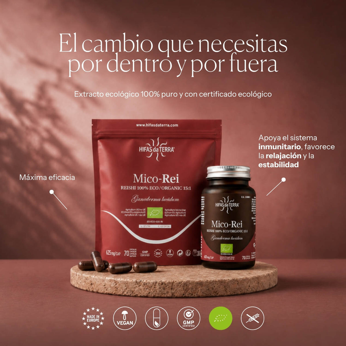 How to use Mico-Rei | Hifas da Terra