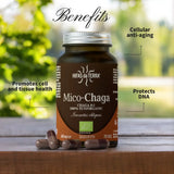 Mico Chaga (Chaga Extract) Capsules