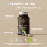 Mico Five (Chaga, Reishi, Maitake, Shiitake, Sun mushroom) Capsules