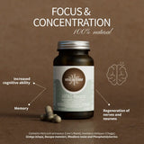Hifas-Neuro Memory and concentration