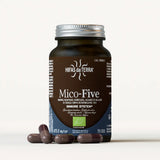 Mico-Five Pure extracts from Reishi, Shiitake, Maitake, Sun and Chaga Mushrooms