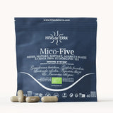 Mico-Five Pure extracts from Reishi, Shiitake, Maitake, Sun and Chaga Mushrooms