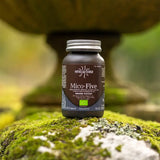 Mico-Five Pure extracts from Reishi, Shiitake, Maitake, Sun and Chaga Mushrooms