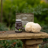 Mico-Leo Lion's Mane Pure Organic Extract