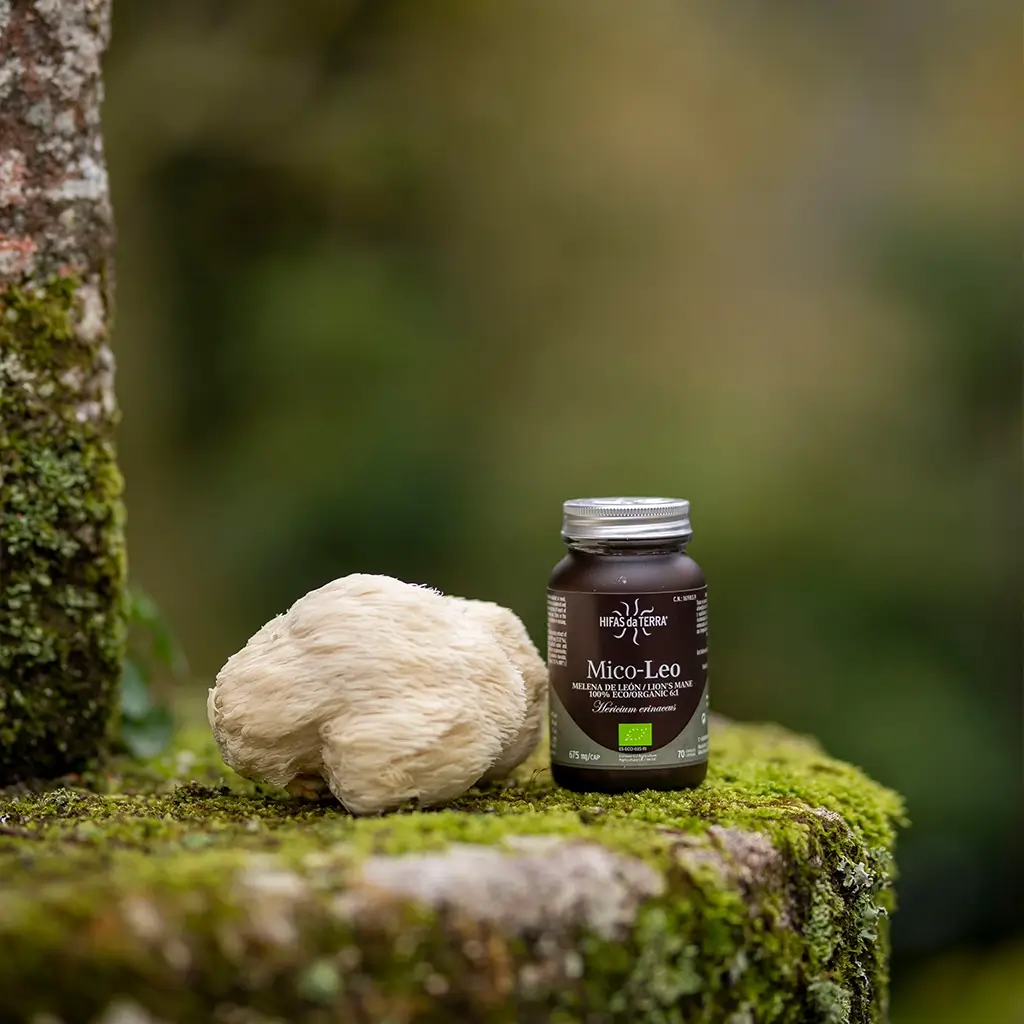 Mico-Leo Lion's Mane Pure Organic Extract